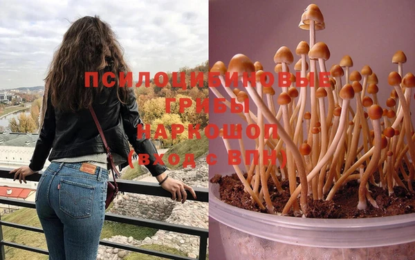 PSILOCYBIN Вяземский